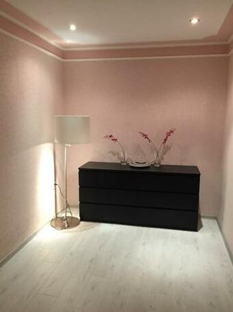 Prospect Volga Apartment - Photo3