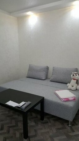 Revolyutsionnaya Apartments - Photo3
