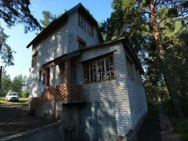 Samara Cottages Sosnovy Bor 113