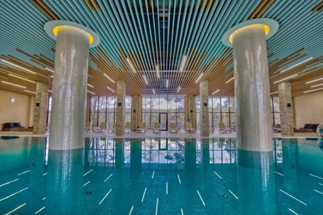 Avrora Club Serovo - Photo2