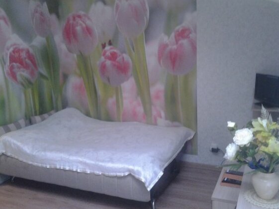 Na Kaluzhskoj Apartments - Photo2