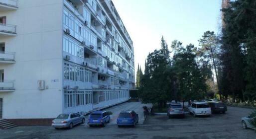Apartments v Sochi 5 Zhelaniy
