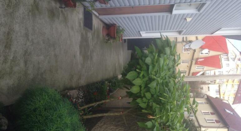 Guest House Maria Sochi - Photo4