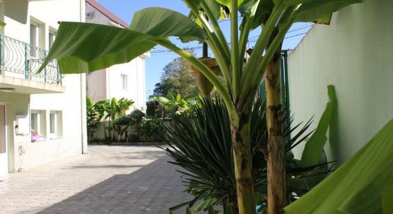 U Morya Guest House Sochi - Photo3