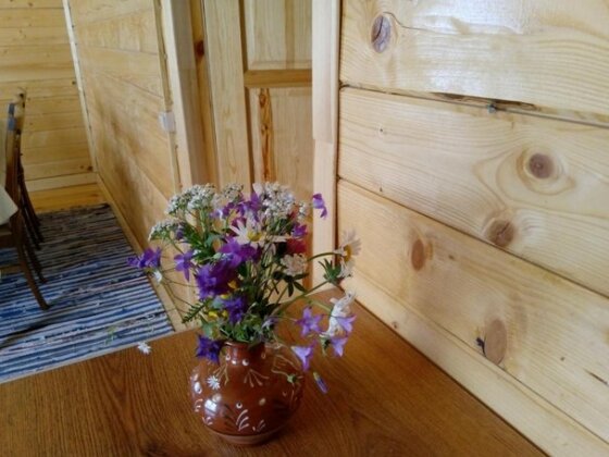 Kareliya Ray Lodge - Photo5