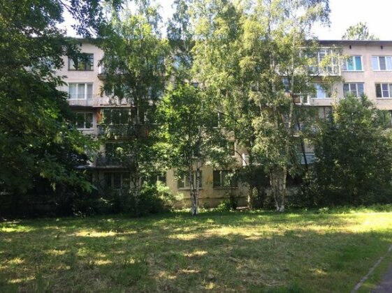 Apartment on Bukharestskaya St Petersburg