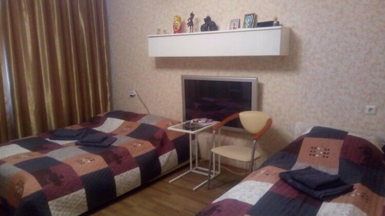 Apartment on Kosmonavtov 65 St Petersburg - Photo3