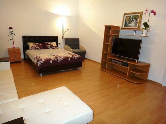 Apartments In Golden Triangle St Petersburg - Photo4
