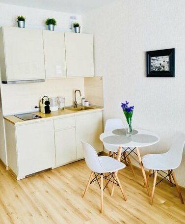 Elagin Studio - Photo3