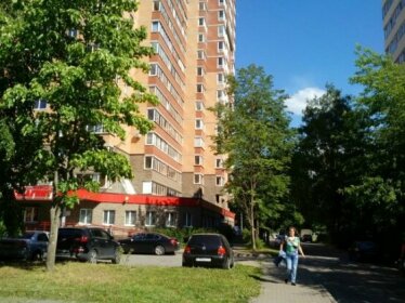 Na Ushinskogo 33 Apartments