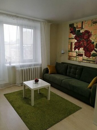 Near Almazov's Clinic 2 Apartments - Photo5