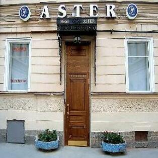 Nevsky Aster