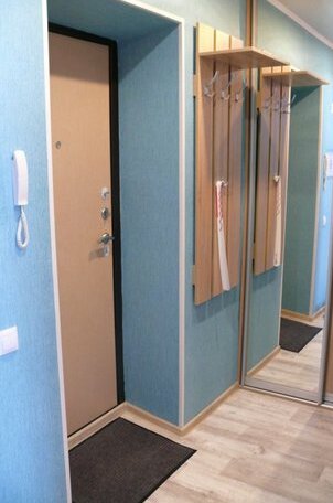 Na Revolyucionnoy Apartments - Photo3