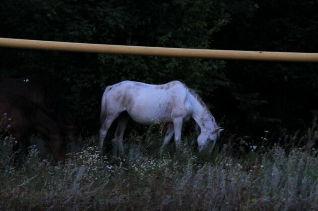 Guest House Russkaya Selit'ba - Photo5
