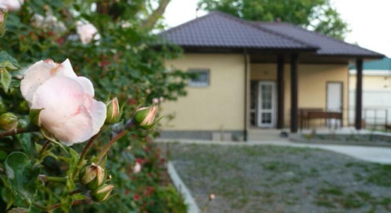 Guest House Solnechny Briz - Photo2