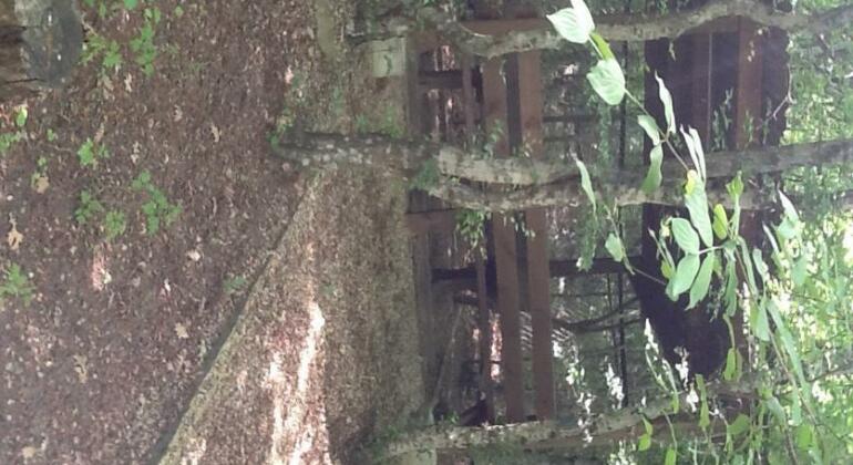 Predgorie Sukko Guest House - Photo3