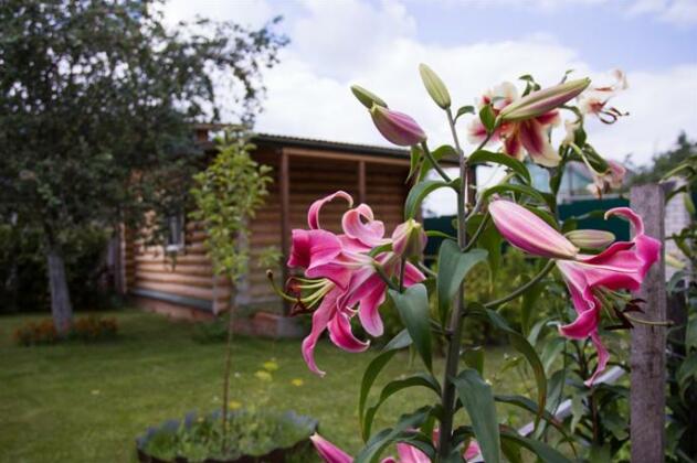 Aleksandriya Guest House Suzdal - Photo2