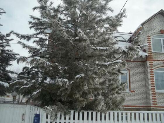 Apartment u Andreya Suzdal