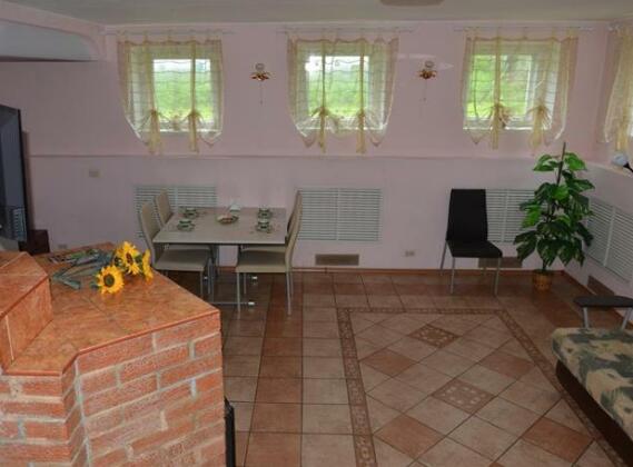 Guest House u Mariny Suzdal - Photo2
