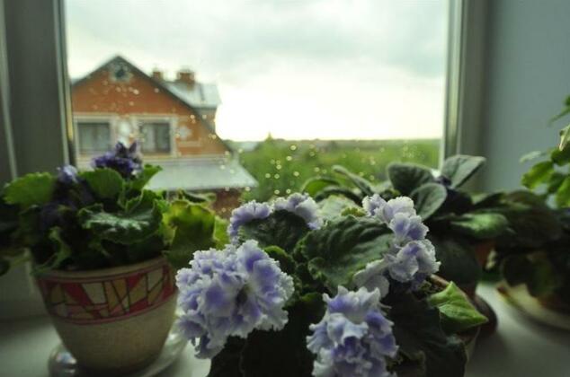 Guest House Vash Suzdal - Photo5