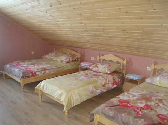 U dachny vybor - Photo3
