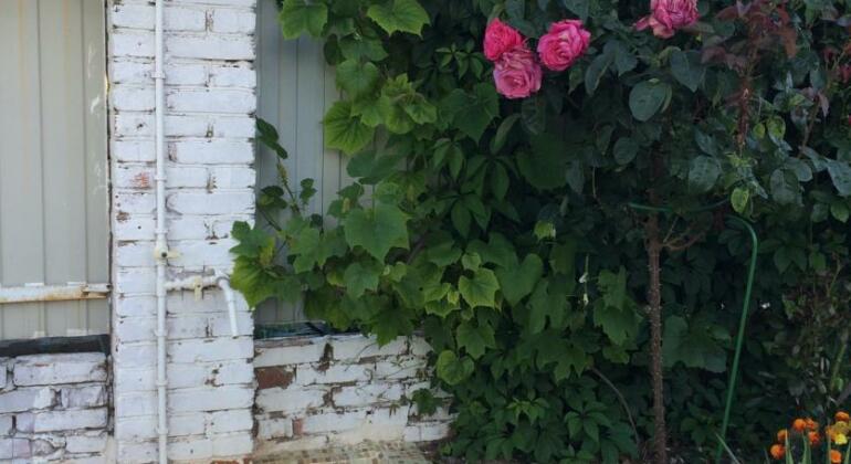Guest House Meri-Tell - Photo3