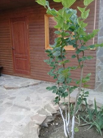 Shato Taman - Photo2