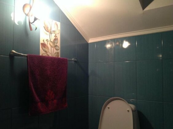Country House Prielbrusye - Photo2