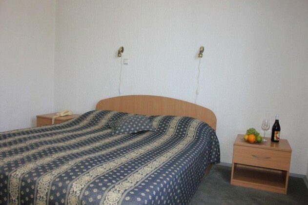 Hotel Altek - Photo3