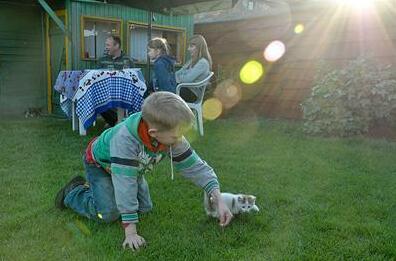 Old Russian Guest House - Photo5