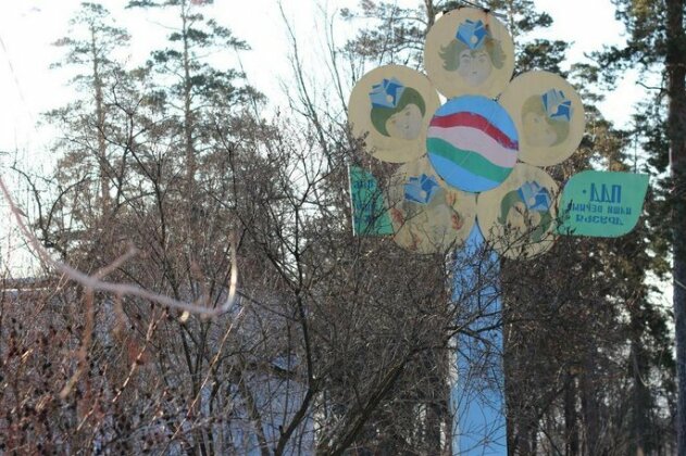 Zeleny Bereg Hotel - Photo3