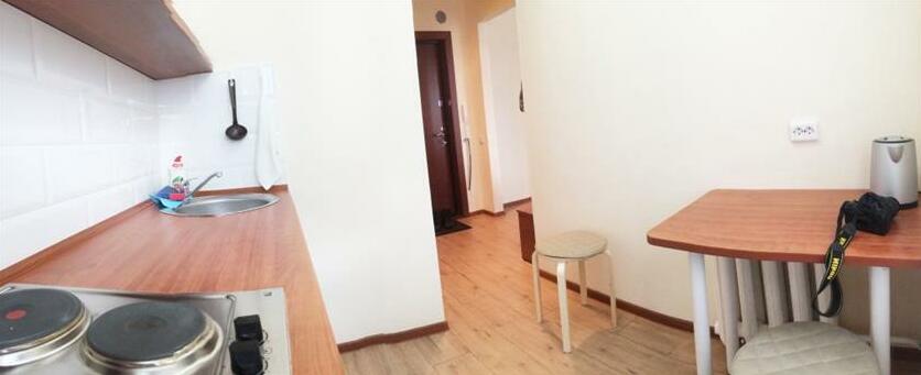 Gagarin Na Pirogova Apartments - Photo4