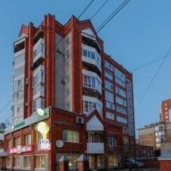 Petrovskie Apartment