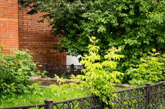 Loft Hostel Tula - Photo3