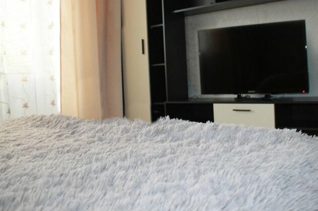 Apartment on Shirotnaya 172 A - Photo4