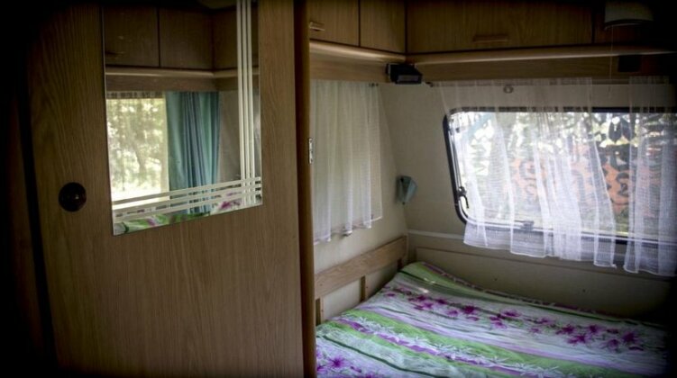 Campsite Perepelinyi ostrov - Photo3