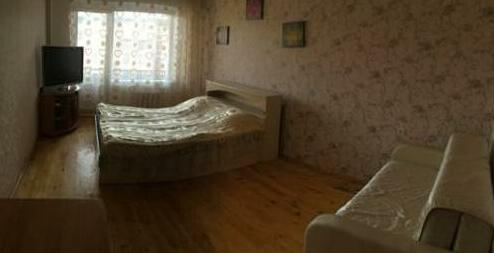 Apartment on Babushkina 13
