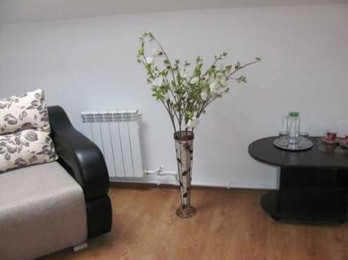 Hotel Albatros Ulan-Ude - Photo5