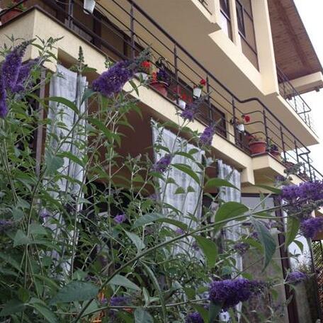Amalteya Mini-Hotel - Photo2