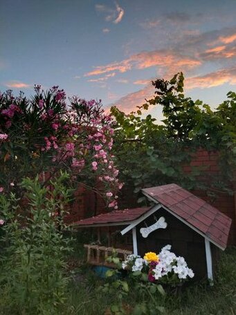 Gostievoi Dom Lastochka - Photo5