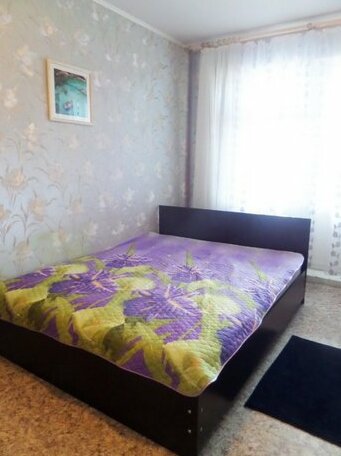 Na Kochetova Apartment - Photo4