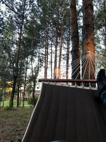 Ladoga Novaya - Photo3
