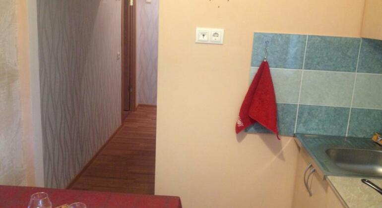 Nevskaya Apartment - Photo3