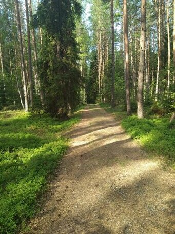 Oblozhnyij Moh Guest House - Photo3