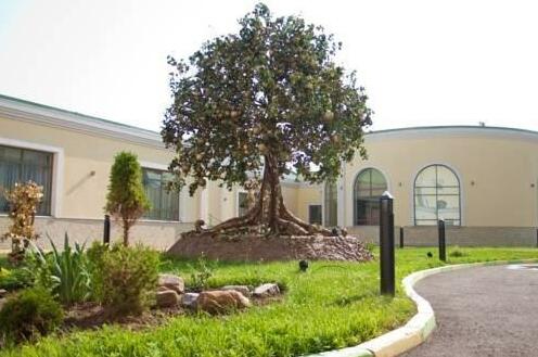 Hotel Batashev - Photo2