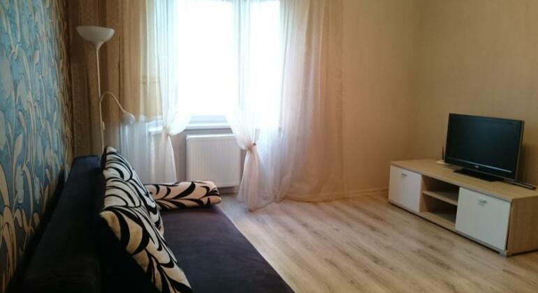 Apartment Moskovskaya 66 - Photo3