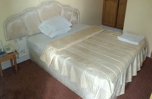 Golden Monkey Hotel - Photo4
