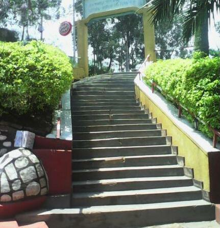 Kivu Sight Ltd - Photo3