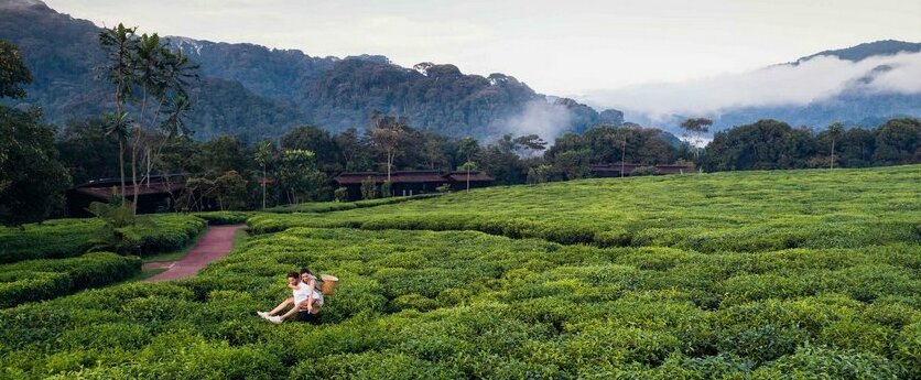 One&Only Nyungwe House - Photo3