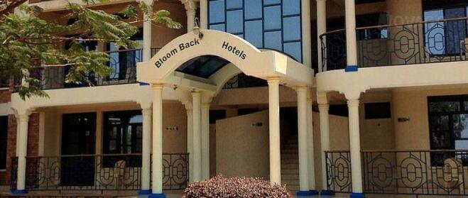 Bloom back Hotels